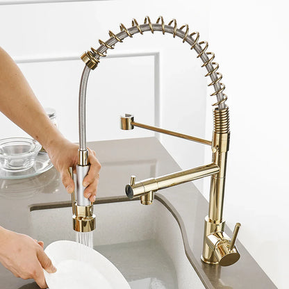 Pull Out Spring Spout Kitchen Faucet