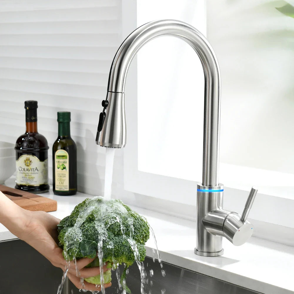 LED Pull Out Kitchen Faucet with Dual Stream Sprayer