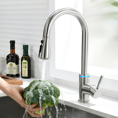 LED Pull Out Kitchen Faucet with Dual Stream Sprayer