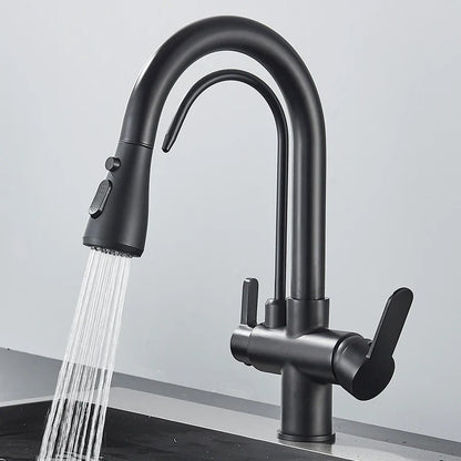3-Way Filtered Kitchen Faucet with Pull-Out Spray
