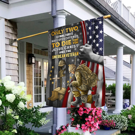 US Military Only Two Defining Forces Have Ever Offered Flag 4Th Of July Merch Patriotic Decor