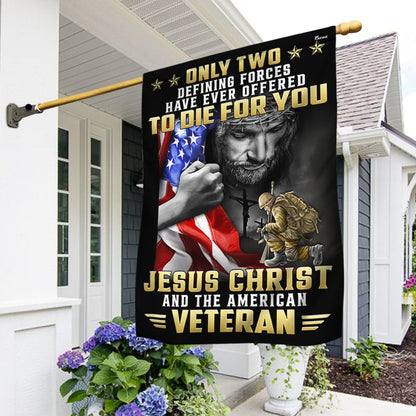 US Military Only Two Defining Forces Have Ever Offered Flag 4Th Of July Merch Outdoor Decor