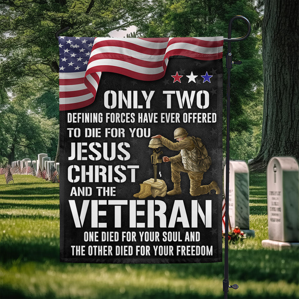US Veteran Only Two Defining Forces Have Ever Offered To Die For You Flag Patriotic Decor